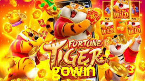 PIX Instantâneo gowin