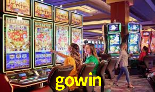 Interface Premium gowin